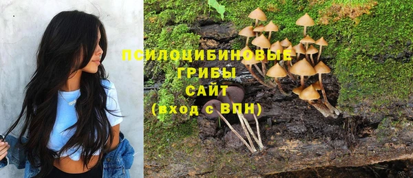 а пвп мука Абаза