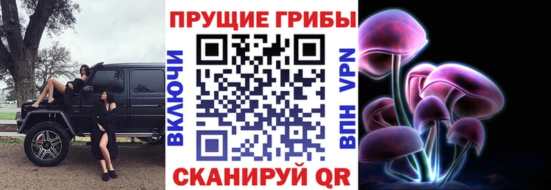 Галлюциногенные грибы мицелий  закладки  Аксай 